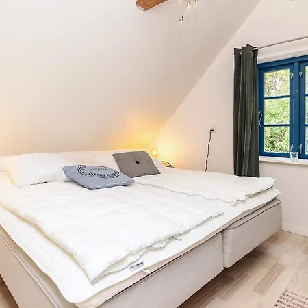 6 Person In * Rude (Sjaelland og Oerne)